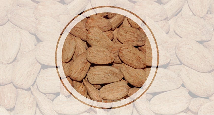 roasted salted almonds